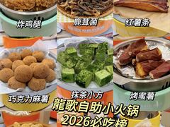 -龍歌自助小火锅(李沧丽达店)
