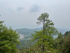 -九华山风景区