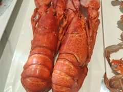 龙虾-神洲四海大酒楼(王府井澳门中心店)