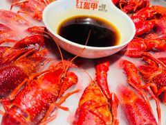 -红盔甲·小龙虾(人民广场店)