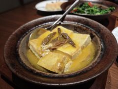 -觅唐MITONG(鸟巢店)