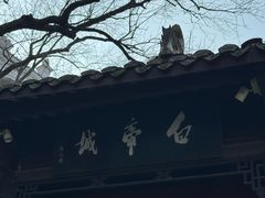 -白帝城·瞿塘峡景区