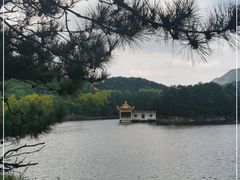 -庐山风景区花径公园