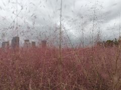 -尚贤河湿地