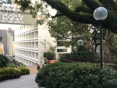 -香港大学