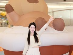 -深圳龙华星河COCO City(民治店)