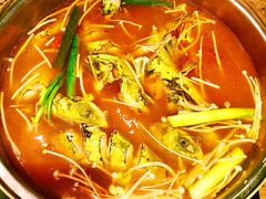 野生黄辣丁-酸喜·三度酸·贵州味