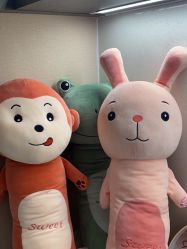 -加减美医美连锁品牌