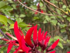 -桤木河湿地公园