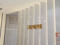 -COSMO PRO造型