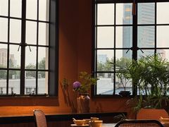 -滇野云南野生菌餐厅(陕西南路店)