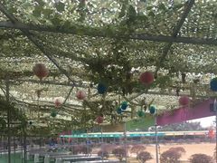 -嬉乐湾休闲旅游区