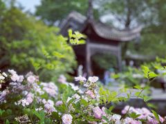 -惠山古镇·寄畅园