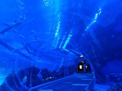 -成都浩海立方海洋公园