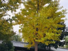 -西安关中民俗艺术博物院