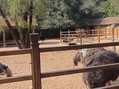 -秦皇岛野生动物园