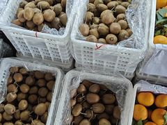 -双福水果批发市场