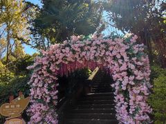 -蝴蝶泉公园