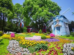 -铁山坪森林公园