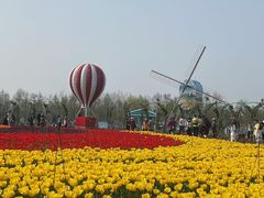 -荷兰花海
