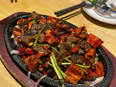 -蒙料·手把肉(望京店)