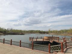 -东郊湿地公园