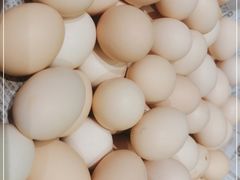 -寨子里的·钵钵菜·湘西山里菜(魅力湘西店)