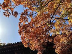 -香山公园
