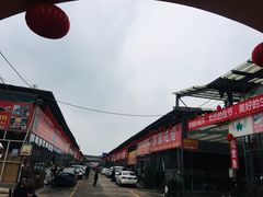 -金科花卉市场