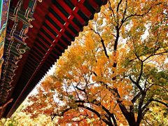 -香山公园-东宫门售票处