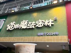 -猫的魔法密林(衣裳街店)