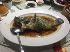 老虎斑-东海海鲜酒家(中信广场店)