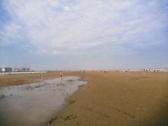 -南汇新城海滩