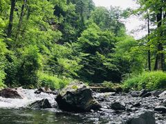-凤凰山国家森林公园
