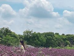 -上海杨姆庄园