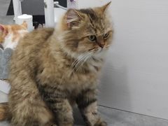 -极木²邸 人与宠物·互动社区