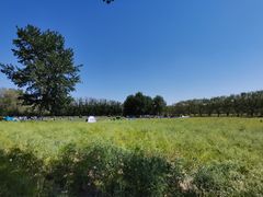 -天津武清北运河郊野公园房车露营地