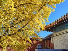 -北京石刻艺术博物馆(五塔寺)