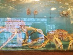 -国家五钻酒家·西樵旺阁渔村(西樵店)