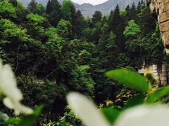 -山王坪喀斯特国家生态公园