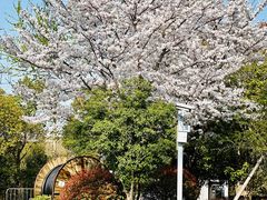 -外高桥保税区南(地铁站)