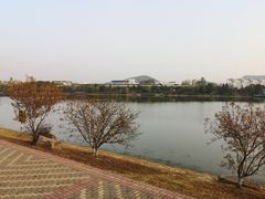 -羊山湖公园