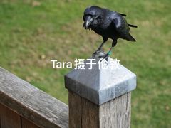 -伦敦塔