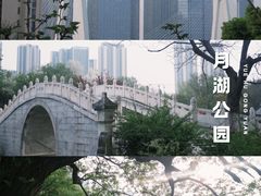 -月湖风景区