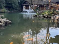 -杭州植物园