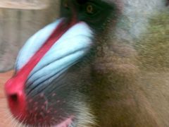 -荆州中山公园动物园