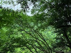 -莫干山风景区