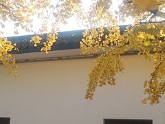 -无锡梅园公园