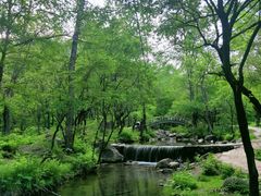 -玉渡山自然风景区