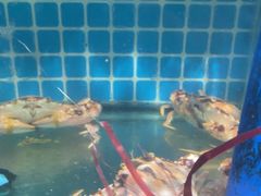 -四川小胡子海鲜(丁村万人海鲜广场店)